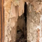 Как вы предотвращаете гниение древесины на дверях?